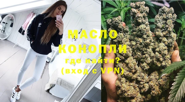 молекула духа Бородино